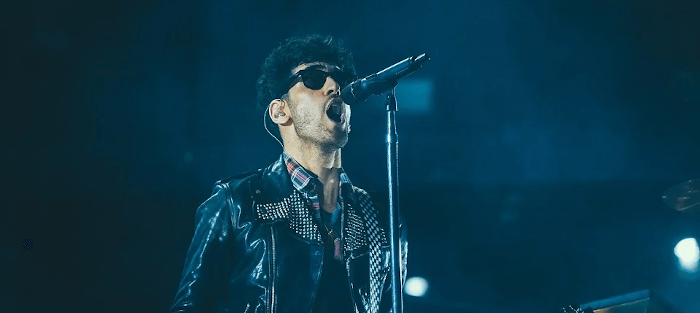 Singer at Concert